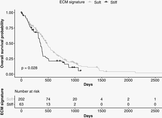 Survival analysis using data from TCGA and CPTAC. The median survival time of patients carrying tumors expressing the 22 genes associated with “stiff” biopsies (n = 63, shown in black) was 100 days shorter than that of patients who did not express these genes (n = 202, shown in gray).