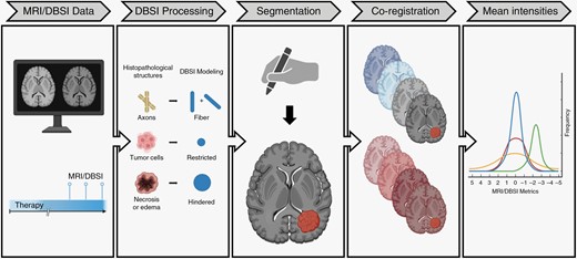 Diffusion basis spectrum imaging as an adjunct to conventional MRI ...