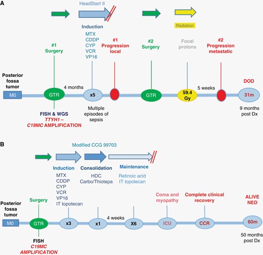 Patient timelines of treatment journeys and outcomes for case 1 (A) and case 2 (B). Key: C19MC, Chromosome 19 microRNA cluster (C19MC) amplification; CDDP, Cisplatin; CYP, Cyclophosphamide; DOD, died of disease; Dx, diagnosis; FISH, fluorescence in situ hybridization; GTR, gross total resection; HDC, high-dose chemotherapy; ICU, intensive care unit; IT, intrathecal; MTX, Methotrexate; NED, no evidence of disease; VCR, Vincristine; VP16, Etoposide; TTYH1, tweety family member 1 gene; WGS, whole-genome sequencing.