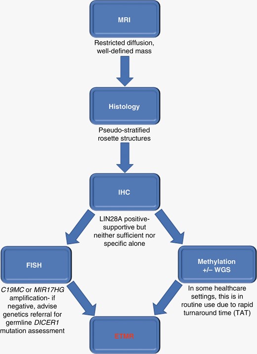 Minimal set of key radiological, pathological, and molecular findings required to establish the efficient and timely diagnosis of ETMR, as per the current WHO classification. Currently, typical radiology, histology, positive LIN28A IHC, and FISH demonstrating C19MC or MIR17HG amplification are sufficient for ETMR diagnosis. Note that LIN28A IHC positivity is neither sufficient nor specific for ETMR, and is not a diagnostic criterion in the WHO classification. However, positive LIN28A IHC testing, which is simple and rapid to perform, along with typical morphology, highlights ETMR as a diagnostic likelihood, allowing clinicians to instigate pragmatic and timely management for patients whilst awaiting confirmatory FISH and/or other investigations. It should be noted that methylation profiling and/or whole-genome sequencing (WGS) are already routinely used in some healthcare settings for ETMR diagnosis, due to rapid turnaround time (TAT). Key: FISH, fluorescence in situ hybridization; ETMR, Embryonal tumor with multilayered rosettes; IHC, immunohistochemistry.
