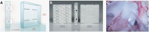 GammaTile®. A Schematic dimensions of collagen matrix and cesium seeds, B shown are the cesium seeds embedded in the collagen matrix with asymmetric positioning for correct seed-brain surface distance, and C Tiles after hydration and placement into the resection cavity.