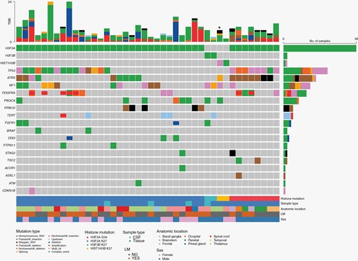 Oncoplot detailing next-generation sequencing results and clinicopathological characteristics of all 42 patients, organized by histone mutation. Copy number variations are represented by coloring of the middle portion of the square (deletions in red, amplifications in blue). For patients with both CSF and tissue NGS available, tissue results are included here; for 4 patients only CSF NGS was available. *Denotes patient with both K27 and G34 mutations.