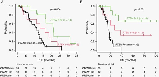 Comparison of PFS (A) and OS (B) in patients with PTEN 2-hit, PTEN 1-hit, and PTEN retain. Patients with PTEN homozygous deletion or PTEN mutation + loss were classified as PTEN 2-hit. Patients with either PTEN heterozygous deletion or PTEN mutation were classified as PTEN 1-hit. Patients with wild-type PTEN were classified as PTEN retain. PFS, progression-free survival; OS, overall survival.