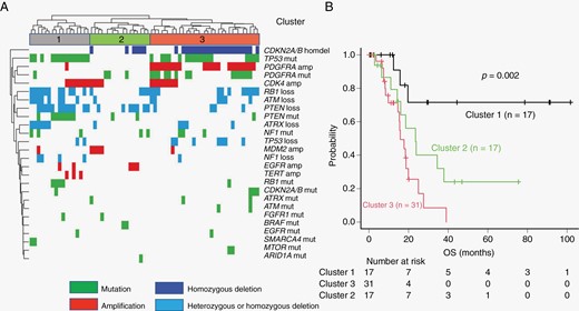 Risk stratification of patients with IDH- and TERTp-wild-type glioblastomas based on unsupervised hierarchical clustering analysis. (A) Results of unsupervised hierarchical clustering analysis in 65 IDH- and TERTp-wild-type glioblastomas. (B) Unadjusted Kaplan–Meier overall survival (OS) curves for each cluster.