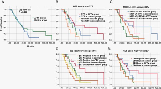 A Survival curves of 29 GBM patients who received standard treatment plus autologous formalin-fixed tumor vaccine (AFTV) (the AFTV group) and 29 GBM patients who underwent standard treatment at the same time, adjusted for age, IDH, and overall survival (OS) by propensity score matching (the control group). B-E Survival curves of gross total resection (GTR) and non-GTR cases (B), cases with higher and lower MIB-1 indices (C), positive and negative p53 statuses (D), and higher and lower CD8 scores (E) in AFTV and control groups.