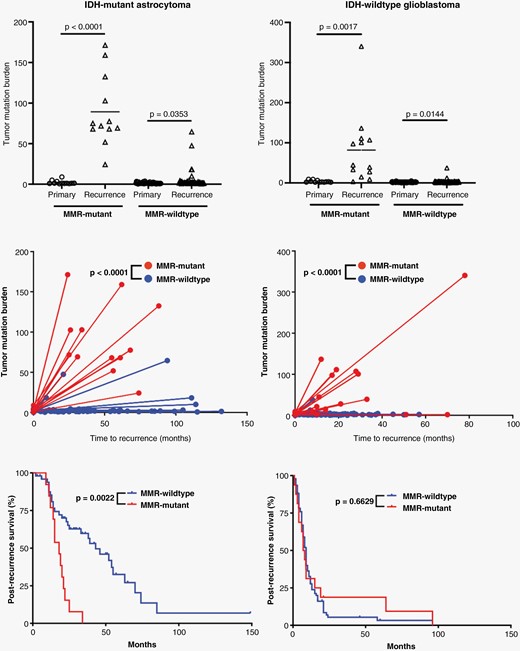 Effects of MMR mutations in response to alkylating agent therapy. Comparison of tumor mutation burden (TMB) in primary and recurrent tumors in IDH-mutant astrocytoma and IDH-wild-type glioblastoma cases where MMR gene mutations occurred between tumor samples and those without this feature. There is a significant increase in the TMB between primary and recurrent tumors in every category, and there is a significant difference in the level of TMB gains (ΔTMB) in MMR-mutant tumors compared to MMR-wild-type tumors in both IDH-mutant astrocytomas and IDH-wild-type glioblastomas. IDH-mutant astrocytomas that developed MMR gene mutations had significantly worse survival after recurrence compared to those without MMR genes, unlike in IDH-wild-type glioblastomas.