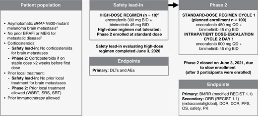 POLARIS study design flow chart. A randomized, multicenter, open-label, phase 2 study evaluating a safety lead-in high-dose (encorafenib 300 mg BID + binimetinib 45 mg BID) and phase 2 standard-dose (encorafenib 450 mg QD + binimetinib 45 mg BID) with intrapatient dose escalation (encorafenib 600 mg QD + binimetinib 45 mg BID) in patients with BRAF V600-mutant melanoma with brain metastases. AE, adverse event; BID, twice daily; BMRR, brain metastasis response rate; BRAFi, BRAF inhibitor; DCR, duration of complete response; DLT, dose-limiting toxicity; DOR, duration of response; MEKi, MEK inhibitor; OS, overall survival; PFS, progression-free survival; PK, pharmacokinetics; QD, once daily; RECIST, Response Evaluation Criteria in Solid Tumors; SRS, stereotactic radiosurgery; SRT, superficial radiation therapy; WBRT, whole-brain radiotherapy. aAt least 1 brain lesion ≥0.5 cm and ≤4 cm. bBRAFi/MEKi, safety lead-in ≥12 months adjuvant setting allowed; phase 2 ≥6 months adjuvant setting allowed. cEvaluable patients must have a DLT or have received ≥75% of the planned cumulative dose of both study drugs during Cycle 1 (28 days).