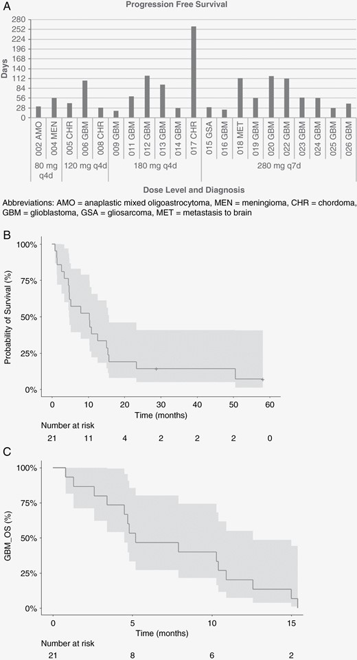 Kaplan–Meier curves of survival probability among patients treated with afatinib. (A) Progression-free survival for efficacy-evaluable patients by afatinib dose level and diagnosis. (B) Survival probability among efficacy-evaluable patients treated with pulsatile afatinib, with confidence interval. (C) Survival probability of patients with glioblastoma, with confidence interval. Abbreviations: AMO, anaplastic mixed oligoastrocytoma; MEN, meningioma; CHR, chordoma; GBM, glioblastoma; GSA, gliosarcoma; MET, brain metastasis