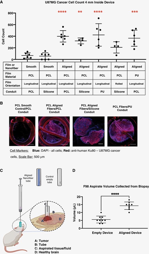 Aligned nanofiber topography guides cancer cells away from the tumor and toward the proximal end of the device which enables on-demand and minimally invasive access to tumor tissue, as demonstrated via histology and aspiration analyses. (A) Comparison of conduit and nanofiber materials in U87MG GBM rat model; all devices, except silicone/rolled aligned films, were attached to the tubing on both sides longitudinally to the cylindrical conduit. The aligned nanofiber film devices had significantly larger amounts of cells and tissue migrating toward the proximal end of device relative to the smooth film controls. (B) Histological evidence that cancer cells migrated to fill the entire length of implanted aligned device: immunofluorescent images of a transverse cross-sections of tissue at 4 mm from the proximal end of the devices showing tumor cells filling the aligned nanofiber devices. (C) Illustration of position of device relative to tumor and skull as well as the biopsy aspirate procedure. (D) Comparison of total aspirate volumes in the F98-GFP+ rat model between aligned nanofiber device and control empty device. ****P < .0001.