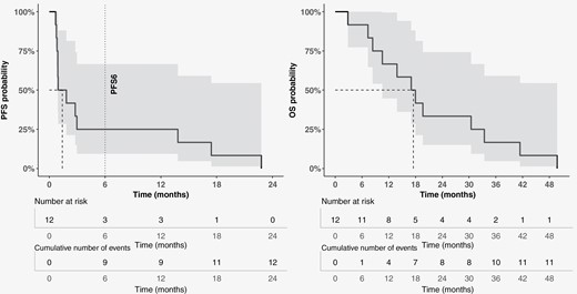 Progression-free survival (panel a) and overall survival (panel b) probabilities in the efficacy cohort, were calculated with the Kaplan–Meier method.