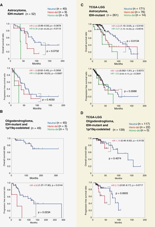 Kaplan–Meier plots of astrocytoma and oligodendroglioma stratified by CDKN2A/B status. A: IDH-mutant astrocytoma cases in our cohort. The duration of OS increased in the order of Homo-del, Hemi-del, and Neutral groups (median OS: 38.5, 59.5, and 93.1 months, respectively). OS was shorter for Hemi-del than for Neutral (P = .0732). B: IDH-mutant and 1p/19q-codeleted oligodendroglioma in our cohort. Hemi-del had a significantly shorter PFS than Neutral (median 33.3 and 113.6 months, respectively, P = .0234). C: IDH-mutant astrocytoma in The Cancer Genome Atlas (TCGA)-LGG data. In this cohort, Hemi-del and Neutral differed significantly (P = .0134). D: IDH-mutant and 1p/19q-codeleted oligodendroglioma in TCGA-LGG data. There was no significant difference in PFS between Hemi-del and Neutral (45.8 and 86.7 months, respectively, P = .0605). Hemi-del, hemizygous deletion of CDKN2A/B; Homo-del, homozygous deletion of CDKN2A/B; HR, hazard ratio; OS, overall survival; PFS, progression-free survival; Neutral, copy-neutral.