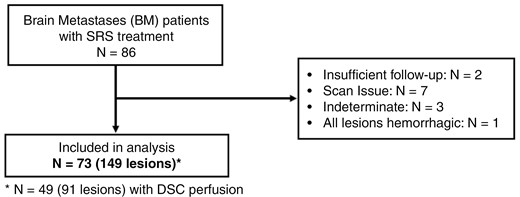 Patient flowchart. Patient characteristics are shown for the patients who were included in the analyses. N represents the number of patients.
