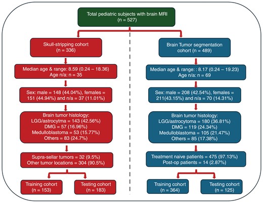 Patient demographics for subjects used in model training and testing for the skull-stripping and brain tumor segmentation cohorts.