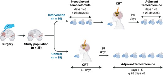 Figure illustrating the NEOTEM study design for 35 post-surgery patients, comparing two treatment regimens. The intervention group receives neoadjuvant temozolomide, followed by chemoradiotherapy (CRT) and adjuvant temozolomide, while the control group undergoes CRT followed by adjuvant temozolomide. The figure specifies the cycles and durations of each treatment phase for both groups.