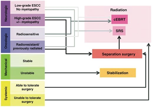 Schematic depiction of the Neurologic, Oncologic, Metastatic, and Systemic (NOMS) decision framework that links the various patient-level factors with the most appropriate treatment suggestion. cEBRT = conventional external beam radiation therapy; SRS = stereotactic radiosurgery. Taken from Laufer et al.19; used with permission.