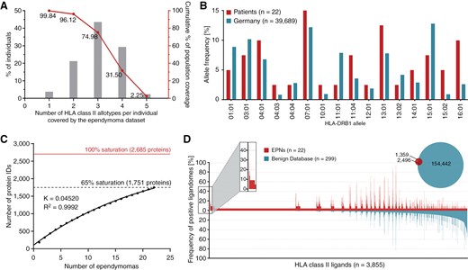 HLA class II ligandome profiling. (A) HLA class II allotype population coverage within the EPN patient cohort compared with the world population (calculated by the IEDB population coverage tool, www.iedb.org).40 (B) HLA class II allelic distribution in the EPN patient cohort and a German reference population (“Germany pop 8,” Allele Frequency Net Database AFND, www.allelefrequencies.net).41 (C) Saturation analysis of source proteins of HLA class II-presented peptides from the EPN patient cohort. Number of unique source protein identifications is shown as a function of cumulative immunopeptidome analysis of EPN samples (n = 22). Exponential regression allowed for the robust calculation (R2 = 0.9992) of the maximum attainable number of different source protein identifications (red line). The dashed line depicts the source proteome coverage achieved in the EPN patient cohort. (D) Comparative profiling of HLA class II-presented peptides based on the frequency of presentation in EPNs and benign ligandomes. Frequencies of positive immunopeptidomes for the respective source proteins (x-axis) are indicated on the y-axis. *P-value ≤ .05 after Bonferroni correction; EPN, ependymoma.