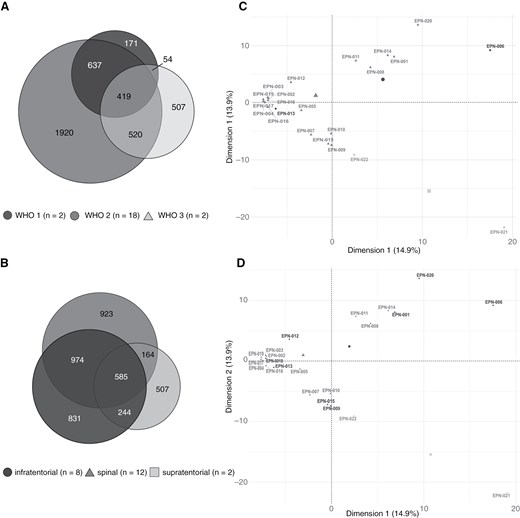 Comparative analysis between immunopeptidomes of different EPN subgroups. Overlap analysis of HLA class I ligand source proteins of EPNs subdivided according to (A) WHO classification and (B) tumor localization. Unsupervised PCA was performed on basis of HLA class I ligand source proteins of EPNs subdivided according to (C) WHO classification and (D) tumor localization. EPN, ependymoma; PCA, principal component analysis.
