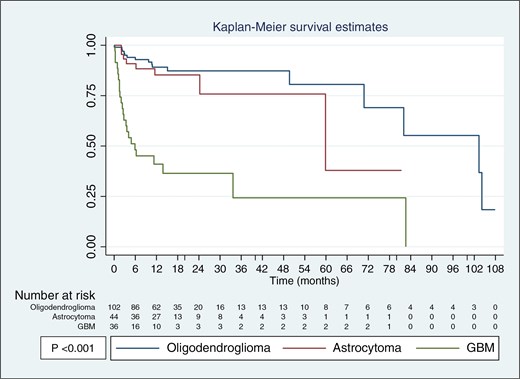 Kaplan–Meier survival estimates for oligodendroglioma, astrocytoma, and GBM. Oligodendroglioma shows the best survival outcomes, followed by astrocytoma, while GBM has the worst prognosis.