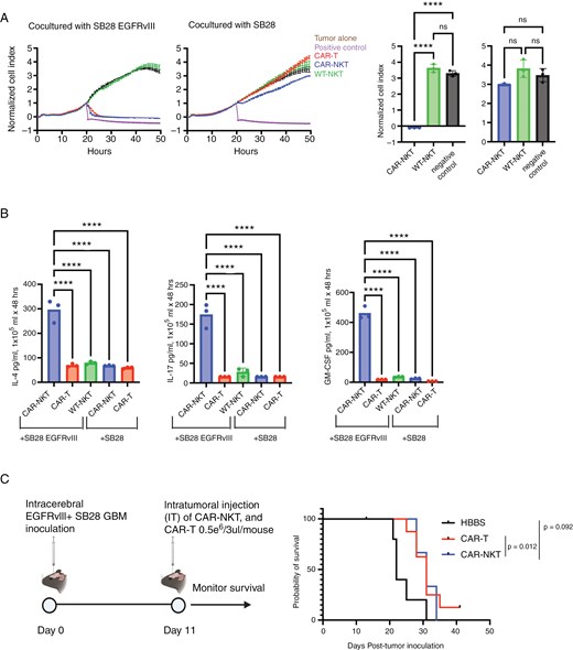 In vitro analysis revealed that CAR-NKT cells displayed similar cytolytic activity to CAR-T cells but secreted higher levels of cytokines, including IL-4, IL-17, and GM-CSF. In vivo studies in the SB28 glioma model demonstrated comparable survival outcomes between CAR-NKT and CAR-T cell treatments following intratumoral administration.