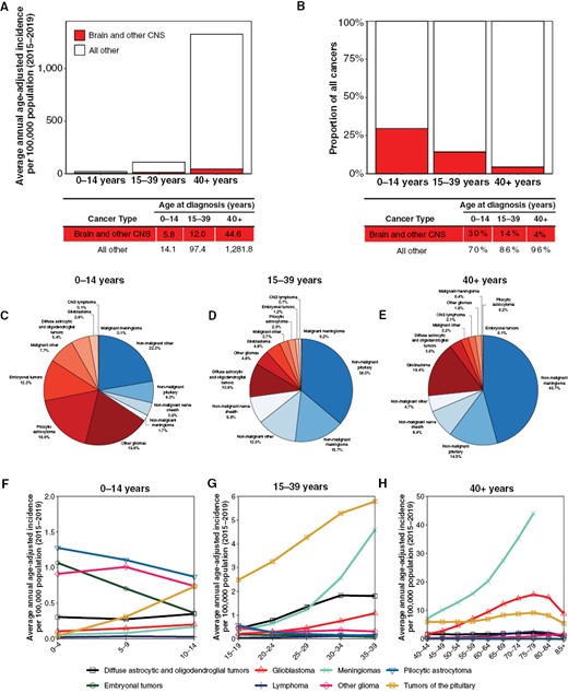 (A) Average annual age-adjusted incidence of brain and other CNS tumors and all other cancers by age group at diagnosis, (B) proportion of total cancers occurring in brain and other CNS by age group at diagnosis; distribution of all primary brain and other CNS tumors by behavior for (C) children ages 0–14 years, (D) adolescents and young adults ages 15–39 years, and (E) adults ages 40 + years; age-adjusted incidence rates of brain and other CNS tumors by selected histopathologies (tumor types) within age group at diagnosis for (F) children ages 0–14 years, (G) adolescents and young adults ages 15–39 years, and (H) adults ages 40 + years. (Data from CBTRUS Annual Statistical Report: US Cancer Statistics—NPCR and SEER, 2015–2019).