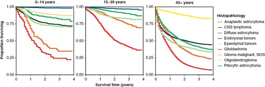 Kaplan–Meier survival curves for the five most common malignant histopathologies (tumor types) within age groups at diagnosis (ages 0–14 years, 15–39 years, and ages 40 + years). (Data from CBTRUS Annual Statistical Report: NPCR, 2001–2018.)