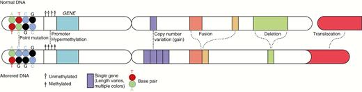 Simplified representation of the nature of the most relevant (epi)genetic alterations in (neuro-)oncology. Normal DNA is displayed at the top, with part of another chromosome to the right. At the bottom, altered DNA is represented. The depicted alterations are examples. The mutation shows a change from a cytosine (C)-guanine (G) base pair to a thymine (T)-adenosine (A) base pair. A copy number change may involve a loss/deletion or a gain/amplification, of which the latter is shown here (from 1 to 4 copies of a single gene). The depicted deletion now involves loss of part of 1 single gene, but a deletion may also concern loss of a partial or whole chromosome arm. A gene fusion, depicted as a fusion between genes that were already on the same chromosome arm, may also concern fusion between genes originating on different chromosome arms. The translocation shows the addition of part of 1 arm of a chromosome to the arm of another chromosome.