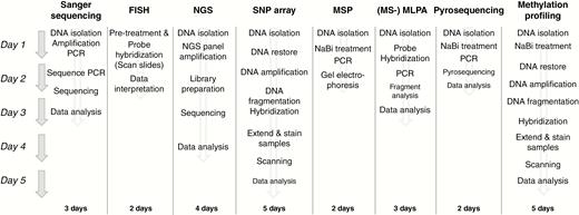 Flow diagram providing an indication of turnaround times (in working days) for several of the techniques described in this review article. These are the usual turnaround times of the authors’ laboratory or institution. Turnaround times may vary from laboratory to laboratory, for example, depending on the possibility of performing certain steps overnight.