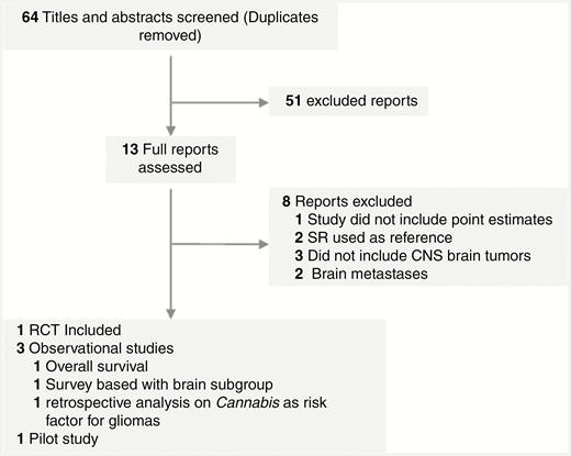 Flow of Studies Through the Review Process.