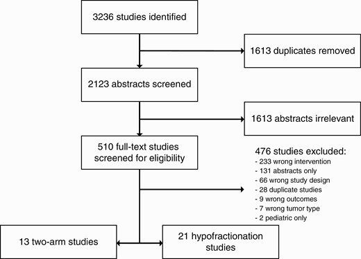 Scheme of search results and assessment of eligibility.