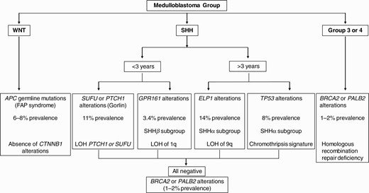 Approach to genetic testing in medulloblastoma.