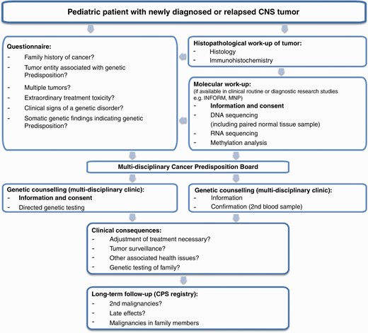 Our current diagnostic approach for the identification of a genetic cancer predisposition. This workflow should be adjusted according to the local setting and diagnostic possibilities. Abbreviations: CNS, central nervous system; CPS, cancer predisposition syndrome.