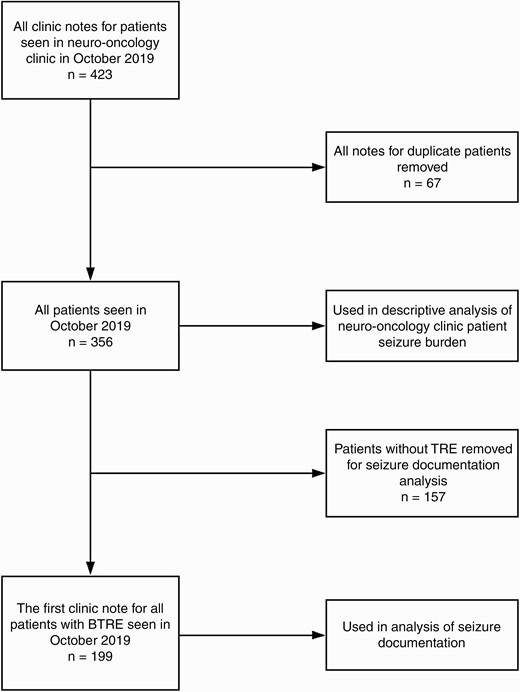 A total of 423 clinic notes were completed in the neuro-oncology clinic in October 2019. Sixty-seven of these notes were based on visits of duplicate patients. For duplicate patients, the first note was kept, and subsequent notes were not used in the analysis. Notes for which the primary purpose of the visit was to administer treatment or to provide treatment education rather than a full clinical evaluation were not utilized in our analysis. A total of 356 unique patients were used in the analysis of tumor types and seizure burden. Of these patients, 157 patients did not have TRE and were thus removed for the final analysis of seizure documentation. The remaining 199 patients were included in the analysis of seizure documentation. Abbreviation: TRE, tumor-related epilepsy.