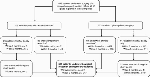 Flowchart displaying an overview over surgical strategies in the study period, and the proportion of patients who received surgical interventions within 3 and 6 months from radiological diagnosis. aTime from radiological diagnosis to primary resection missing in 2 cases.