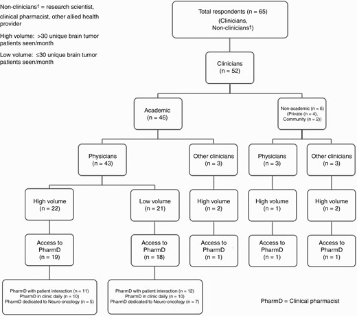 Clinicians and access to a clinical pharmacist—flow diagram.