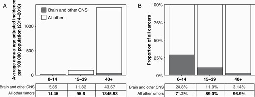 A) Average annual age-adjusted incidence of brain and other CNS tumors and all other cancers by age group at diagnosis, and B) proportion of total cancers occurring in brain and other CNS by age group at diagnosis (CBTRUS: US Cancer Statistics - NPCR and SEER, 2014–2018).