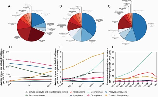 Distribution of all primary brain and other CNS tumors by behavior for A) children ages 0–14 years old, B) adolescents and young adults 15–39 years and C) adults 40+ years and age-adjusted incidence rates of brain and other CNS tumors by selected histologies for D) children ages 0–14 years old, E) adolescents and young adults 15–39 years and F) adults 40+ years (CBTRUS: US Cancer Statistics - NPCR and SEER, 2014–2018).