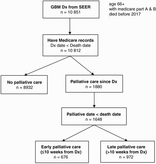 Flow chart of glioblastoma (GBM) decedents included for analysis, derived from SEER-Medicare database of 1997–2016.
