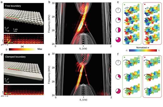 Measured helical edge states on the free and clamped boundaries. (a) Upper panel: photograph of the 3D metal-printing sample for the free boundary. Lower panel: Measured distribution of $| w |$ along the free boundary. Green star: a point source. (b) Measured (colour map) and simulated (curves) dispersions projected on the free boundary. The red and green curves denote dispersions of the edge states counter-propagating along the free boundary (illustrated by red and green arrows in (a)). (c) Simulated field distributions of the edge states, marked by the circles in (b), at sequential instants. The black arrows indicate the rotation of the square blocks around their centres (blue dashed lines). (d)–(f) The same as in (a)–(c), but for the clamped boundary.