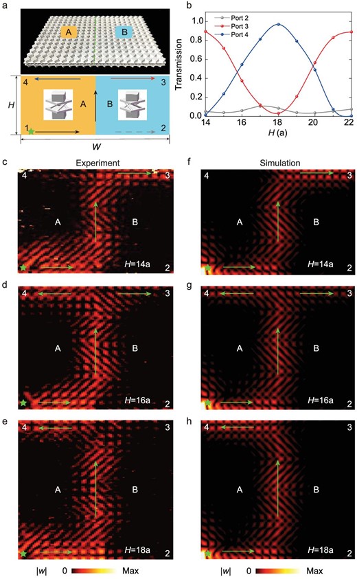 Selective transport at topological channels for elastic edge states. (a) Photograph of the sample, composed of A and B structures. There are four ports in the device, including one input, denoted as 1, and three output ports, denoted as 2, 3 and 4, respectively. The height and width of the sample are denoted as H and W. (b) Transmissions in output Ports 2–4 with respect to H at $26.75\ {\rm{kHz}}$. (c)–(h) Measured and simulated $| w |$ for $H = 14a$, $16a$ and $18a$, respectively. The green stars denote the point sources. The green arrows show the directions of edge-state propagation.