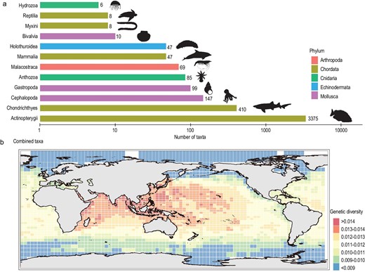 Number of marine taxa used for genetic diversity assessment and global distribution pattern of marine genetic diversity. (a) The number of marine taxa used for genetic diversity assessment. The taxonomic classes are shown from least (top) to the most (bottom). Only taxonomic classes with more than five species are displayed. (b) The spatial pattern of CO1-based genetic diversity for global marine species. Species illustrations were taken from http://phylopic.org/ and were available for use under a Public Domain license except that the mammalia illustration credits to Chris huh under Attribution-ShareAlike 3.0 Unported license. 审图号: GS 京 (2023) 0722 号