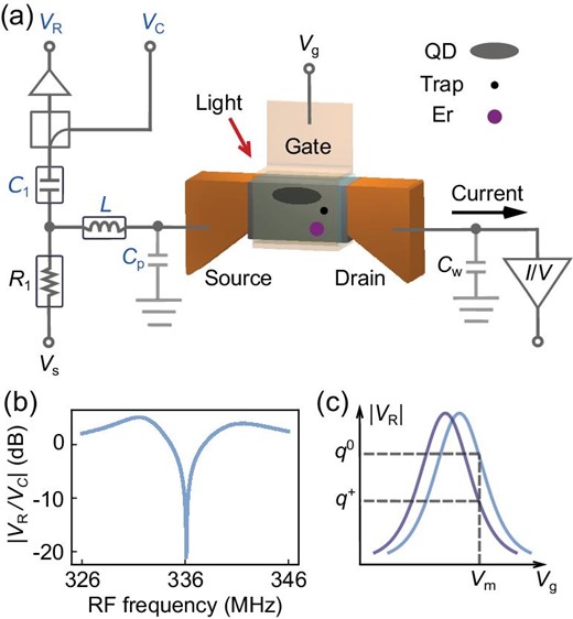 Experimental setup. (a) Circuit diagram showing both RF and DC connections to the device. The DC current is measured from the drain of the device. Its bandwidth is limited by the input impedance of the current pre-amplifier (I/V), the device resistance and the wiring capacitance Cw. For the RF measurement, a resonant circuit is connected to the source of the device, consisting of a commercial inductor (L = 470 nH) and the parasitic capacitance (Cp = 490.1 fF). A carrier RF signal (VC) is sent to the resonant circuit, and the reflected signal (VR) from the resonant circuit can be used to detect an impedance change of the device. A bias tee made up of R1 and C1 separates the DC source voltage Vs and the RF signal so that the DC and RF measurements can be carried out simultaneously. In the FinFET channel, the implanted Er3+ ion, a trap and a QD involved in the detection mechanism are displayed. (b) Characteristic of the resonant circuit when all three terminals of the device are grounded. The curve reveals a resonant frequency of 336.1 MHz and a loaded quality factor of 65. (c) Schematic of charge sensing. Loss of an electron, indicated by a change of charge state from q0 to q+, induces a shift of the |VR|-Vg curve from the light blue curve to the dark blue curve. By choosing a gate voltage on the slope of the curve, Vm, the reflected amplitude at |VR(q0)| or |VR(q+)| can be used to read out the charge state.