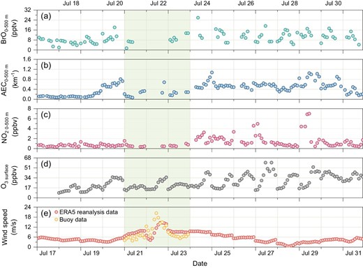 Time series of the daytime (a) BrO, (b) aerosol extinction coefficient, and (c) NO2 surface layer (0–500 m) concentration observed by MAX-DOAS at HNI site, China, (d) surface O3 observed by collocated SP-DOAS at HNI, as well as (e) wind speed from ERA 5 (https://cds.climate.copernicus.eu/) reanalysis data and measured by buoy (http://csdata.org/p/405/) at the location of HNI. The shaded area indicates the typhoon passing period. The missing data of MAX-DOAS retrieval ((a) to (c)) on July 22 is due to extreme weather conditions caused by typhoon activity.