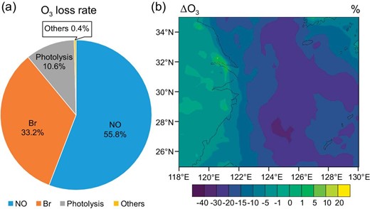 Bromine chemistry effects on O3 during July 17–31, 2018. (a) THAMO-simulated contribution of individual channels to O3 loss rate at HNI. The O3 loss rate of ‘Others’ mainly includes O3 reactions with OH, HO2, and NO2. The loss of O3 due to chlorine and iodine processes are not included in the THAMO calculation. (b) WRF-Chem simulated spatial distribution of the bromine effects (between noBr and HAL cases in percentage) on the O3 mixing ratio at the surface layer (the first modelling layer, from ground/sea level to ∼40 m). Chlorine and iodine sources and chemistry are included in both the noBr and HAL WRF-Chem cases.