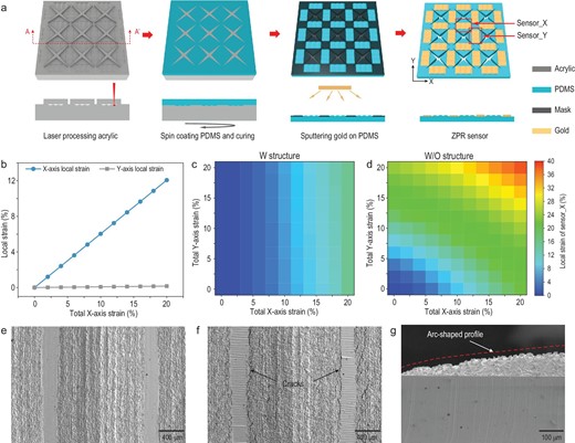 The biaxial independent perception mechanism of ZPR sensors. (a) Schematic illustration of the fabrication process of ZPR sensors. (b) Local strain of sensing units under uniaxial X-axis tensile strain. (c and d) Local strain of the X-axis sensing unit on membranes with a ZPR structure and strain concentration structure (c), and with only a strain concentration structure (d) under different biaxial strains. (e and f) SEM images of the X-axis sensing unit before (e) and after (f) uniaxial X-axis stretching. (g) Cross-sectional SEM image of half of the arc-shaped profile of the strain concentration structure.