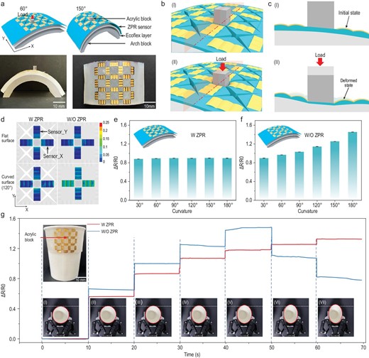 Detection of grasping force for objects with variable curvature. (a) Schematic diagrams of the ZPR sensor attached on different surfaces with 60° and 150° curvature (top), and photographs of the ZPR sensor attached on the surface with 150° curvature (bottom). (b) Schematic diagrams of the ZPR sensor before (top) and after (bottom) the loading of external force. (c) Cross-sectional diagrams of planes shown in (b) showing sensor_Y and the Ecoflex layer before (top) and after (bottom) the loading of external force. (d) Local strain contour maps of sensing units in membranes with (left) and without (right) a ZPR structure, when the external force is applied to the top surface of the acrylic block and the membranes are attached to a flat surface (top) and 120° curved surface (bottom). (e and f) Resistance response of sensor_Y in ZPR sensors (e) and sensors without a ZPR structure (f). Both the sensors are attached on surfaces with different curvatures, and the external force is constant at 1 N. (g) Response of sensor_Y in ZPR sensors and sensors without a ZPR structure during the paper-cup-grasping task. The top inset illustrates the ZPR sensor attached on the cup. The bottom photographs (from I to VII) illustrate a series of processes for increasing grasping force.
