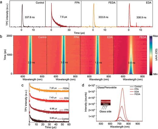 Carrier dynamic process of perovskite films. (a) Transient photocurrent curves of the devices under the short-circuit condition. (b) Transient absorption spectroscopy (TAS) spectra of perovskite films. (c) The transient photovoltage (TPV) of films with different conditions. (d) Photoluminescence spectra of films with different conditions.