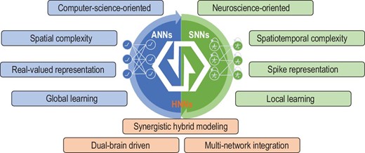 The concept of HNNs. HNNs combine key features of computer-science-oriented models and neuroscience-oriented models, demonstrating improved flexibility and universality in supporting advanced intelligence.