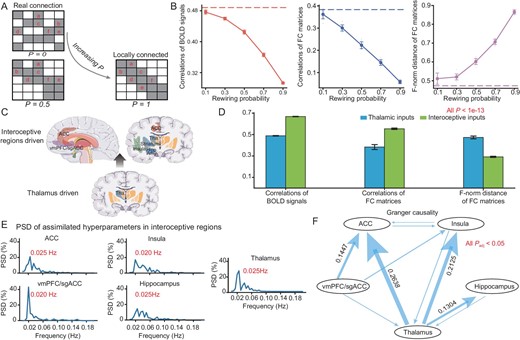 Investigating neuroanatomical architecture of the resting state and exploring the resting states driven by interoceptive regions. (A) Schematic of the rewiring procedure. When the rewiring probability P approaches 0, the network is close to the actual biological DWI structure. As P increases, the network connections become primarily locally connected. (B) Performance of the model in resting state with respect to rewiring probability P. Ten repetitions of simulation experiments were conducted on models with an average synaptic connection in-degree of 100, network sizes of 200 million and rewiring probabilities of 0.1, 0.3, 0.5, 0.7 and 0.9. The dashed line represents simulated results under the actual DWI structure (P = 0). The evaluation metrics are consistent with those in Fig. 2D. (C) Schematic representation of resting-state digital experiments driven by inputs from interoceptive regions, encompassing the hippocampus, insula, anterior cingulate cortex, vmPFC/sgACC and all subcortical regions. (D) Comparison of resting states driven by interoceptive subcortices and those driven by thalamus using the same three evaluation metrics as illustrated in Fig. 2D. (E) Power spectral density analysis of assimilated hyperparameters in interoceptive regions. The assimilated hyperparameters of input currents obtained from the interoceptive brain regions were averaged across five regions: hippocampus, insula, anterior cingulate cortex, vmPFC/sgACC and thalamus. (F) Time-domain conditional Granger causality analysis results for the assimilated hyperparameters of input currents derived from interoceptive brain regions across the same five regions. P-values were adjusted using Bonferroni correction.