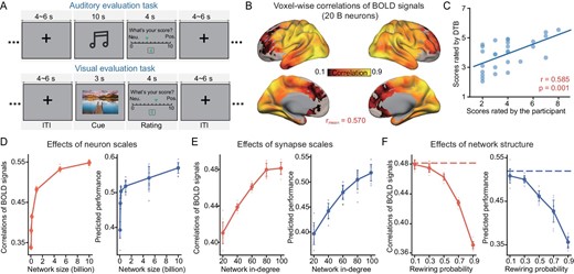 Scaling analysis and neuroanatomical architectural investigation of the cortico-subcortical model during tasks. (A) Schematic representation of the auditory and visual evaluation task. (B) Voxel-level PCCs between the assimilated, task-performing digital brain consisting of 20 billion neurons and the biological brain. (C) Prediction performance of the assimilated digital brain performing the auditory evaluation task. (D–F) Performance of the model concerning the number of neurons in the network, the average synaptic connection in-degree and the rewiring probability P. The evaluation metrics are the same as those illustrated in Fig. 4B and C. Ten repetitions of simulation experiments were conducted, consistent with the model used for resting-state experiments.
