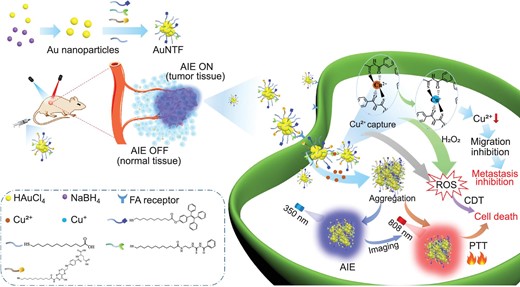 Schematic representation of the synthesis and therapeutic mechanism of AuNTF nanoclusters. The nanoclusters are able to utilize and manipulate the overexpressed copper ions in tumor cells for the simultaneous inhibition of the primary tumor and its metastasis via accurate and visible synergistic therapy with AIE guidance.
